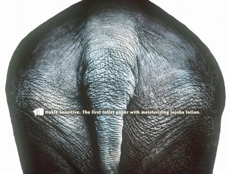 Sensitive toilet paper elephant old adv